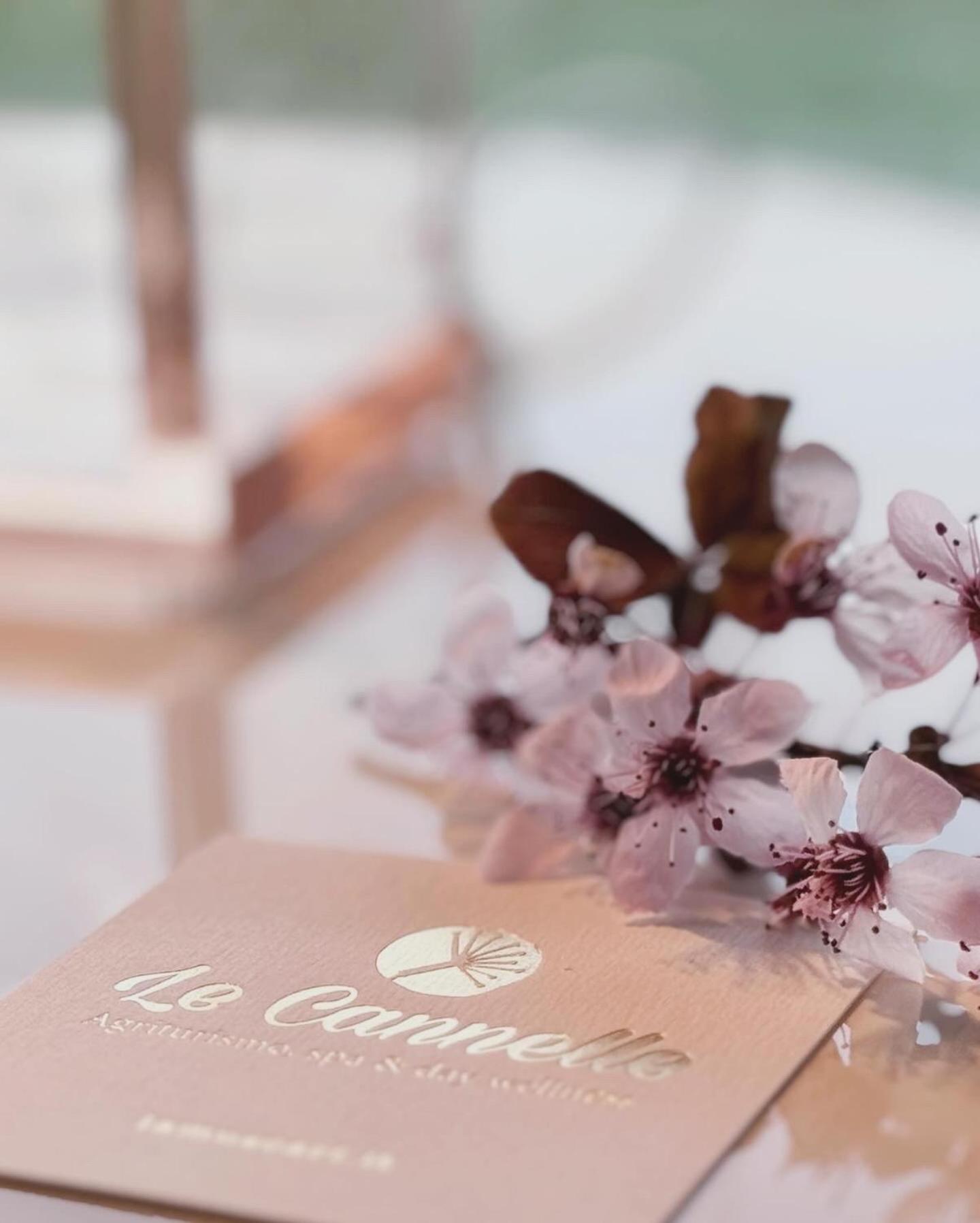 فيلا Agriturismo "Le Cannelle" Spa & Day Wellness فوسومبرون المظهر الخارجي الصورة