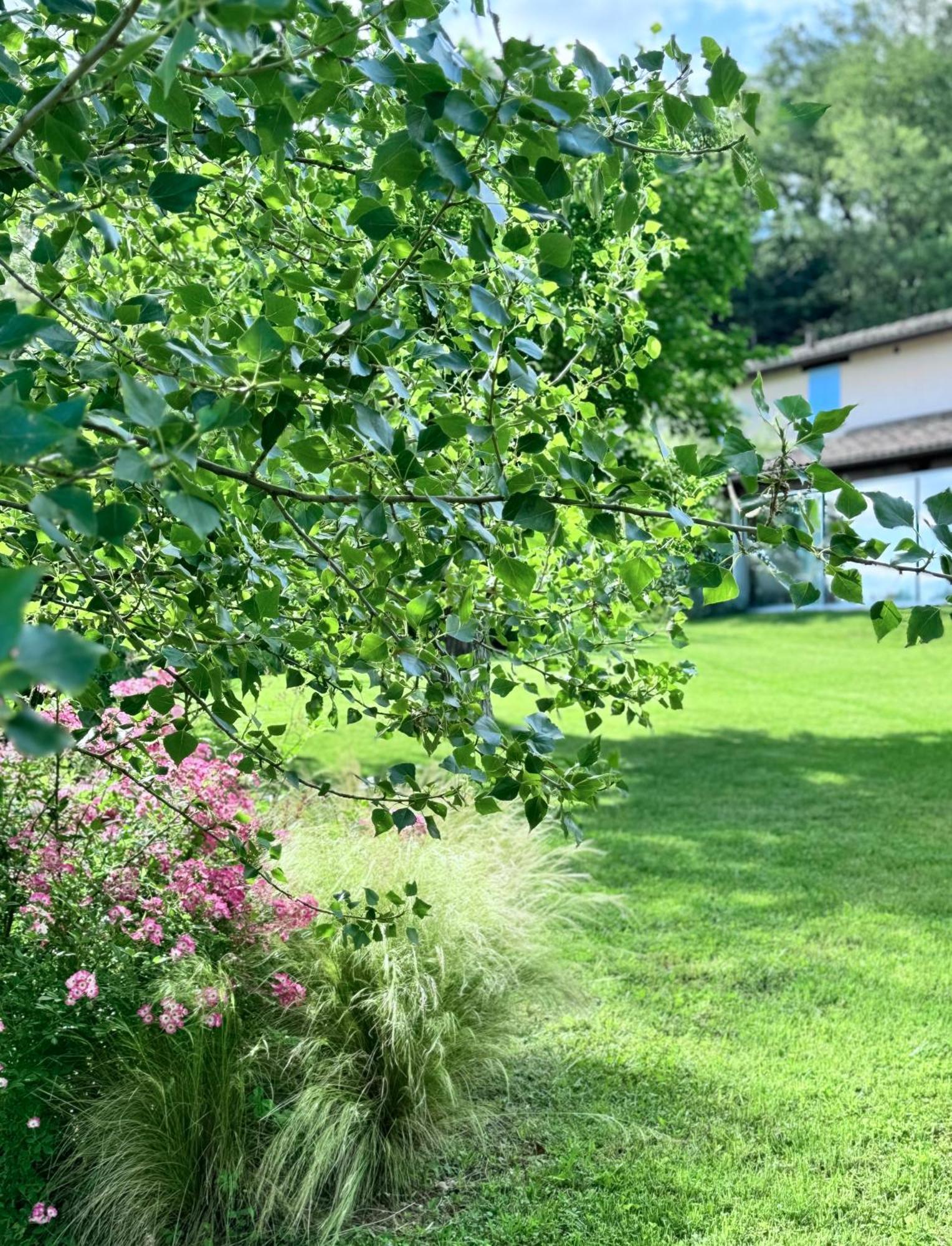 فيلا Agriturismo "Le Cannelle" Spa & Day Wellness فوسومبرون المظهر الخارجي الصورة