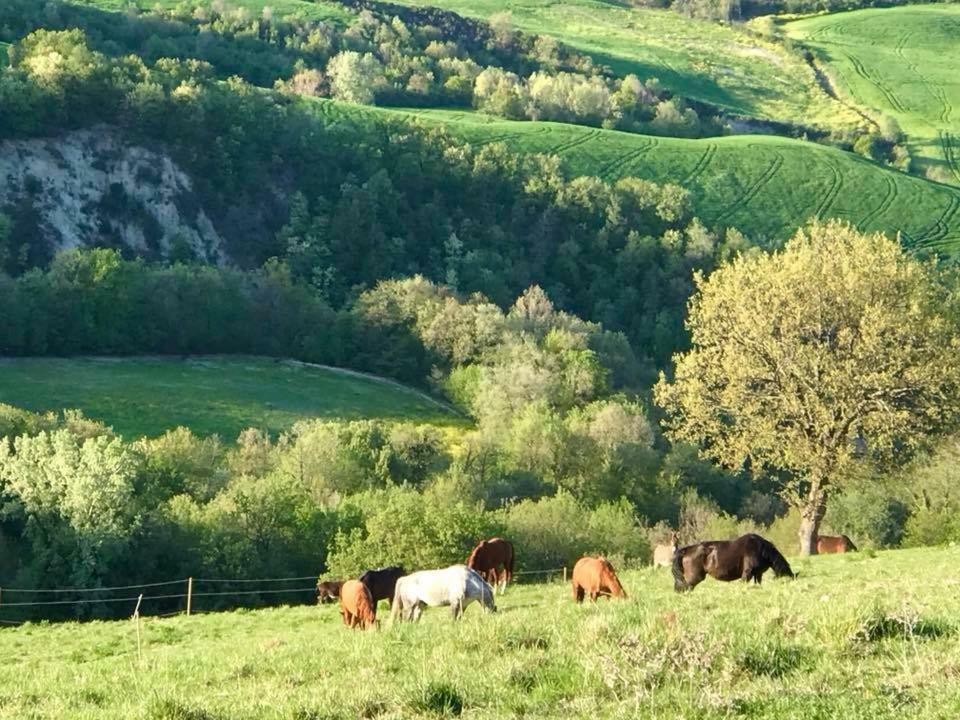 فيلا Agriturismo "Le Cannelle" Spa & Day Wellness فوسومبرون المظهر الخارجي الصورة